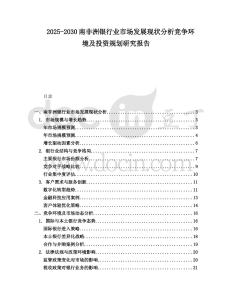 2025-2030南非洲銀行業(yè)市場發(fā)展現(xiàn)狀分析競爭環(huán)境及投資規(guī)劃研究報告