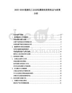 2025-2030能源化工企業(yè)私募股權(quán)投資機會與政策分析