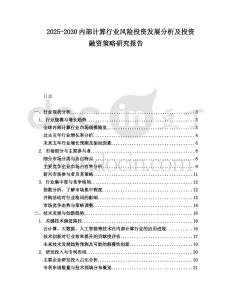 2025-2030內(nèi)部計算行業(yè)風(fēng)險投資發(fā)展分析及投資融資策略研究報告