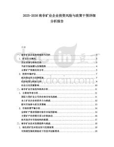 2025-2030南非礦業(yè)企業(yè)投資風(fēng)險與政策干預(yù)詳細(xì)分析報告