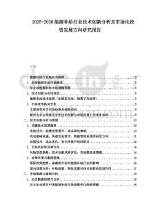 2025-2030能源補給行業技術創新分析及市場化投資發展方向研究報告