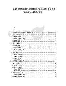 2025-2030南非礦業能源行業市場供需分析及投資評估規劃分析研究報告