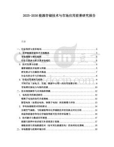 2025-2030能源存儲技術與市場應用前景研究報告