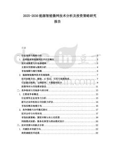 2025-2030能源智能微網技術分析及投資策略研究報告