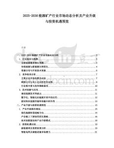 2025-2030能源礦產行業市場動態分析及產業升級與投資機遇預覽