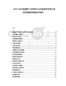 2025-2030能源新產業(yè)投資行業(yè)風險投資發(fā)展分析及投資融資策略研究報告
