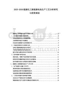 2025-2030能源化工新能源電池生產工藝分析研究與投資規劃