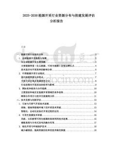 2025-2030能源開采行業資源分布與投建發展評估分析報告