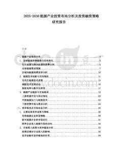 2025-2030能源產業(yè)投資布局分析及投資融資策略研究報告