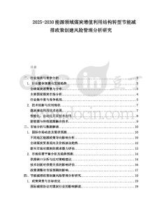2025-2030能源領域煤炭增值利用結構轉型節能減排政策創建風險管理分析研究