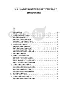 2025-2030制藥專利藥品仿制加速工藝驗(yàn)證技術(shù)關(guān)鍵研究規(guī)劃建議