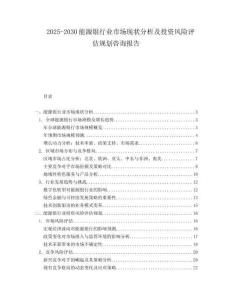 2025-2030能源銀行業(yè)市場現(xiàn)狀分析及投資風險評估規(guī)劃咨詢報告