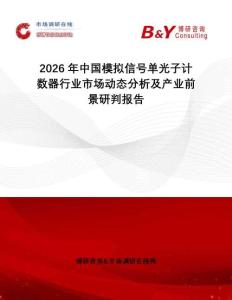 2026年中國模擬信號單光子計數(shù)器行業(yè)市場動態(tài)分析及產(chǎn)業(yè)前景研判報告