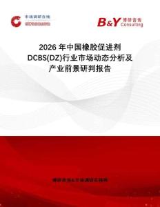 2026年中國(guó)橡膠促進(jìn)劑DCBS(DZ)行業(yè)市場(chǎng)動(dòng)態(tài)分析及產(chǎn)業(yè)前景研判報(bào)告