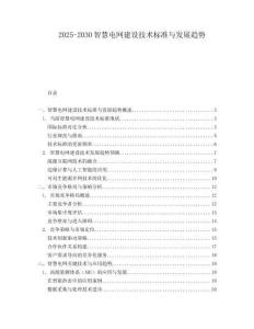 2025-2030智慧電網(wǎng)建設(shè)技術(shù)標(biāo)準(zhǔn)與發(fā)展趨勢(shì)