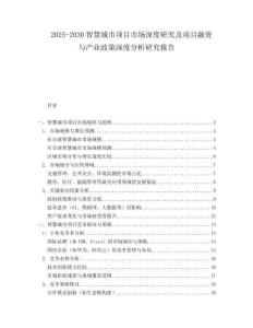 2025-2030智慧城市項目市場深度研究及項目融資與產(chǎn)業(yè)政策深度分析研究報告