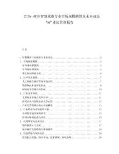 2025-2030智慧城市行業(yè)市場(chǎng)規(guī)模測(cè)算及未來(lái)動(dòng)態(tài)與產(chǎn)業(yè)運(yùn)營(yíng)商報(bào)告