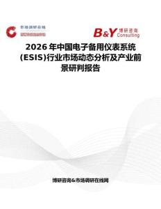 2026年中國電子備用儀表系統(tǒng) (ESIS)行業(yè)市場動態(tài)分析及產(chǎn)業(yè)前景研判報告