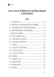 2025-2030年打磨机砂轮行业跨境出海战略分析研究报告