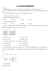 2026年臨滄市中考物理押題試卷（含答案解析）