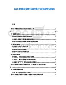 2025柔性顯示模組行業(yè)良率提升與終端應(yīng)用拓展報告