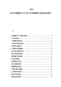 2025-2030中國(guó)鋼鐵生產(chǎn)行業(yè)產(chǎn)業(yè)發(fā)展趨勢(shì)與政策分析報(bào)告