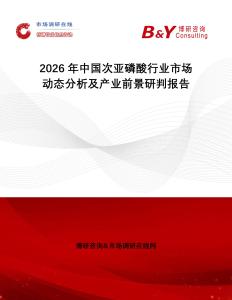 2026年中國次亞磷酸行業(yè)市場動態(tài)分析及產(chǎn)業(yè)前景研判報告