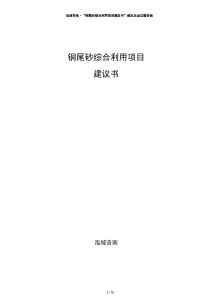 銅尾砂綜合利用項目建議書