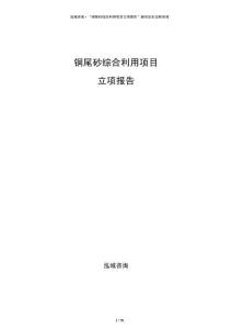 銅尾砂綜合利用項目立項報告