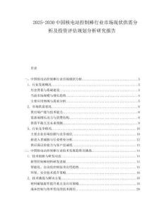 2025-2030中國核電站控制棒行業市場現狀供需分析及投資評估規劃分析研究報告