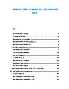 能源項(xiàng)目的開發(fā)業(yè)市場深度研究及行業(yè)前景與投資配置研究報(bào)告