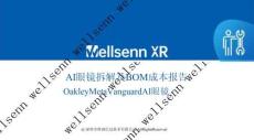wellsenn+AI眼鏡拆解及BOM成本報(bào)告：Oakley+Vanguard+-+免費(fèi)版