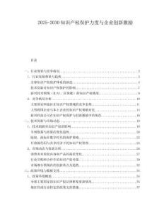 2025-2030知識產權保護力度與企業創新激勵