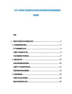 2025智利礦業(yè)資源行業(yè)市場分析供給需求及發(fā)展戰(zhàn)略評估報告