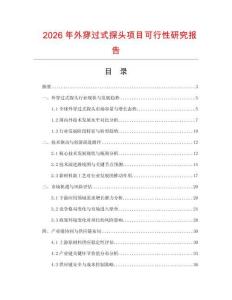 2026年外穿過式探頭項目可行性研究報告