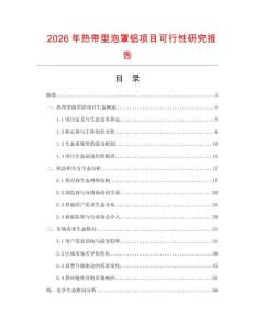 2026年熱帶型泡罩鋁項目可行性研究報告