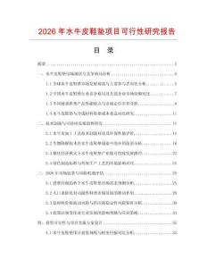 2026年水牛皮鞋墊項目可行性研究報告