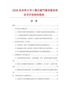 2026及未來5年二氧化碳氣瓶充裝站項目可行性研究報告