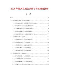 2026年超聲血流儀項目可行性研究報告