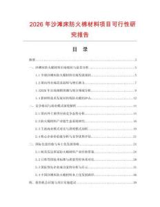 2026年沙灘床防火棉材料項(xiàng)目可行性研究報(bào)告