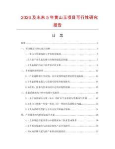 2026及未來(lái)5年黃山玉項(xiàng)目可行性研究報(bào)告