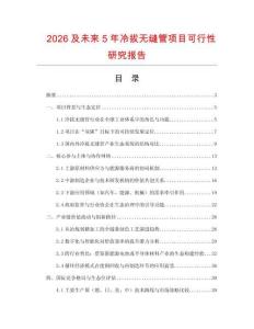 2026及未來5年冷拔無縫管項(xiàng)目可行性研究報告