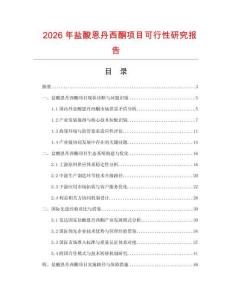 2026年鹽酸恩丹西酮項(xiàng)目可行性研究報(bào)告
