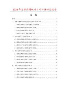 2026年龙眼沟槽板项目可行性研究报告