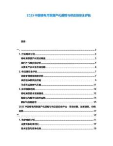 2025中國核電用泵國產(chǎn)化進程與供應(yīng)鏈安全評估