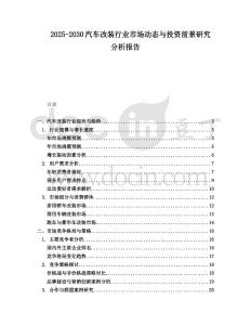 2025-2030汽車改裝行業(yè)市場動態(tài)與投資前景研究分析報告
