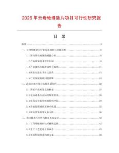 2026年云母絕緣墊片項(xiàng)目可行性研究報(bào)告