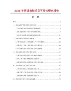 2026年剪絨拖鞋項目可行性研究報告