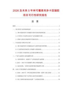 2026及未來5年林可霉素利多卡因凝膠項目可行性研究報告