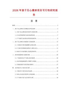 2026年滾子無心磨床項目可行性研究報告